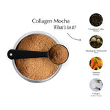 Collagen Mocha